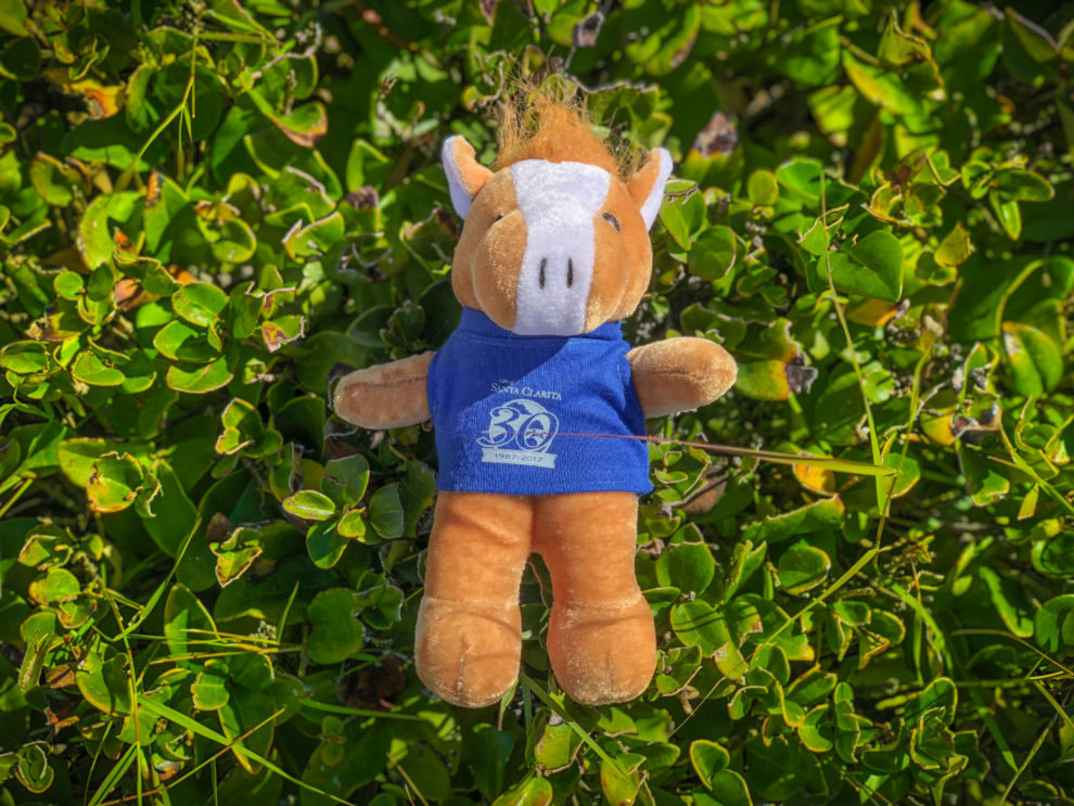 Plush toy animal, Sammy Clarita.